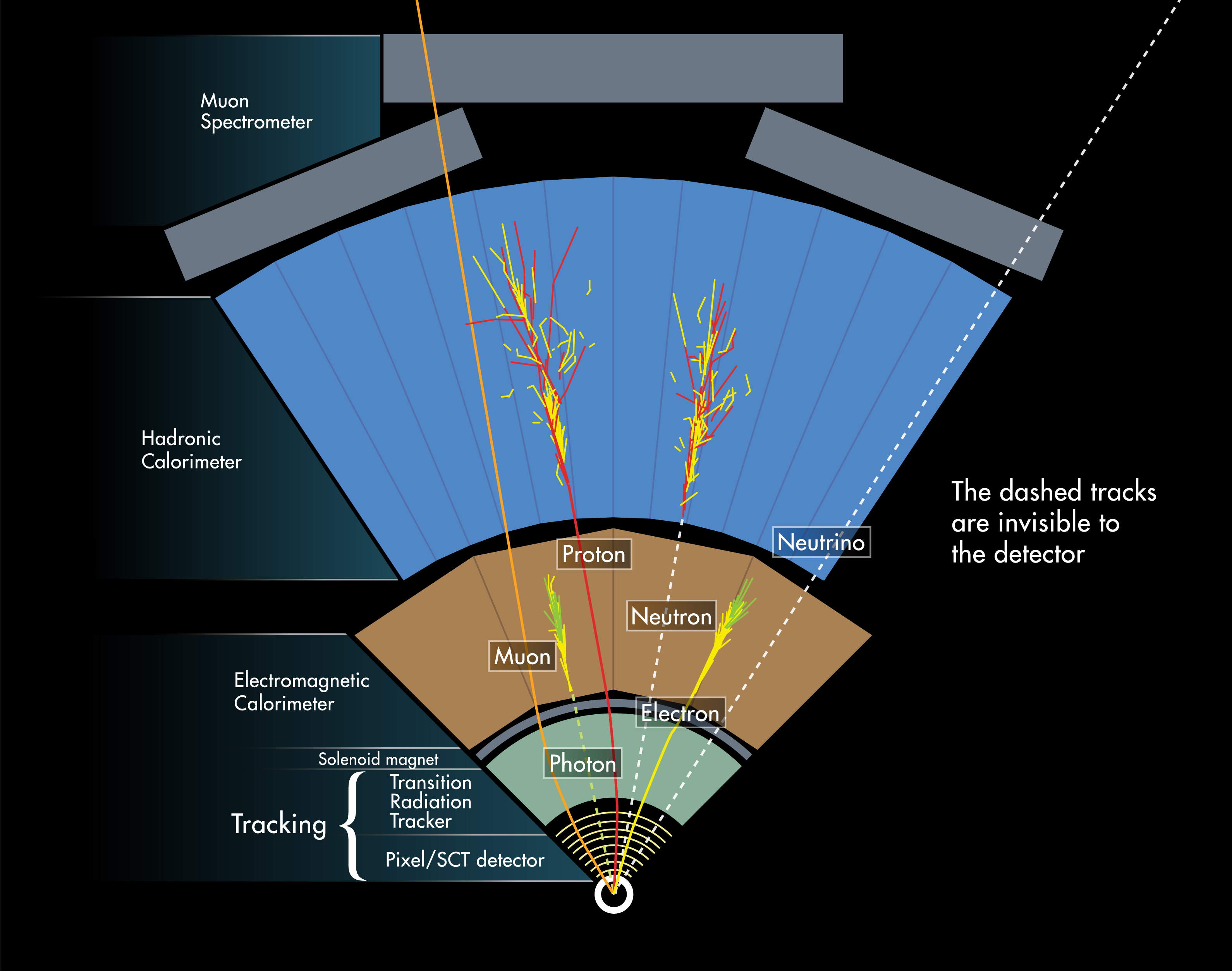 ATLAS detector layer diagram showing all subsystems